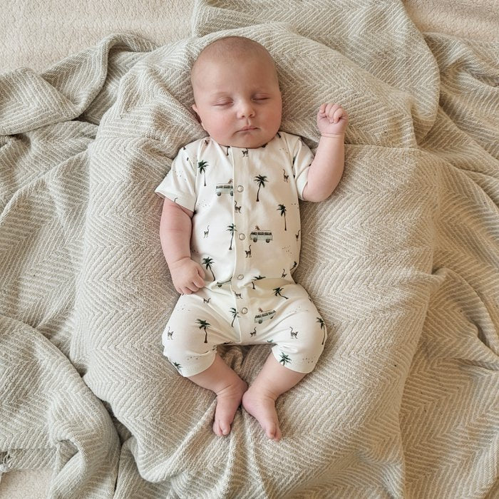 Boxpakje zomer animal vacation