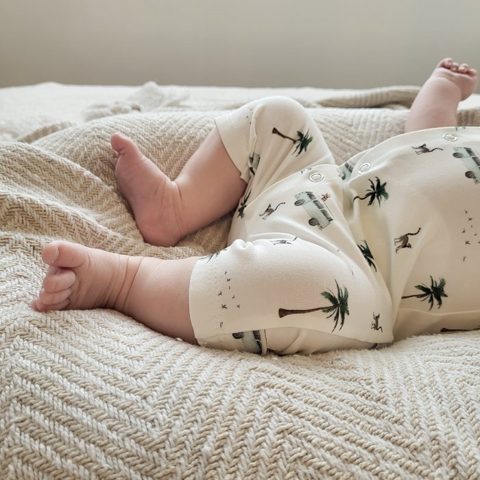 Boxpakje zomer animal vacation